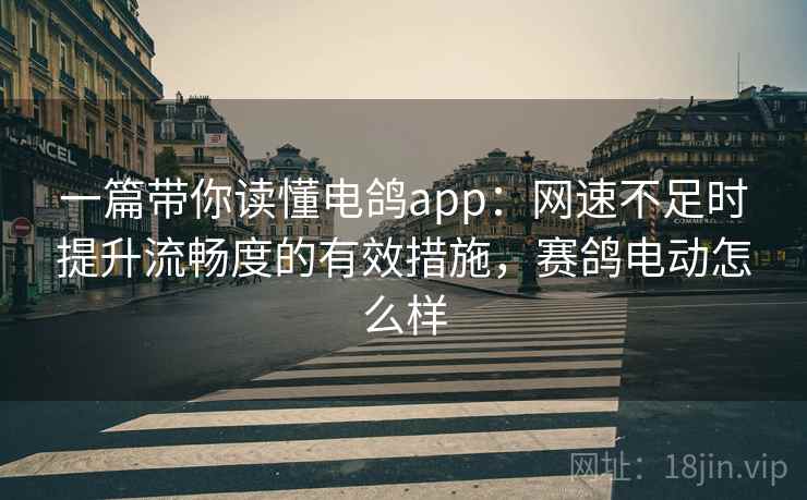 一篇带你读懂电鸽app：网速不足时提升流畅度的有效措施，赛鸽电动怎么样