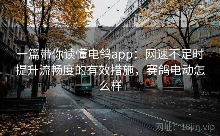 一篇带你读懂电鸽app：网速不足时提升流畅度的有效措施，赛鸽电动怎么样