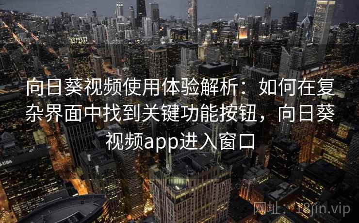 向日葵视频使用体验解析：如何在复杂界面中找到关键功能按钮，向日葵视频app进入窗口