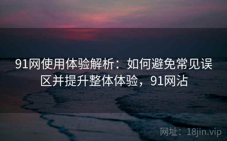 91网使用体验解析：如何避免常见误区并提升整体体验，91网沾