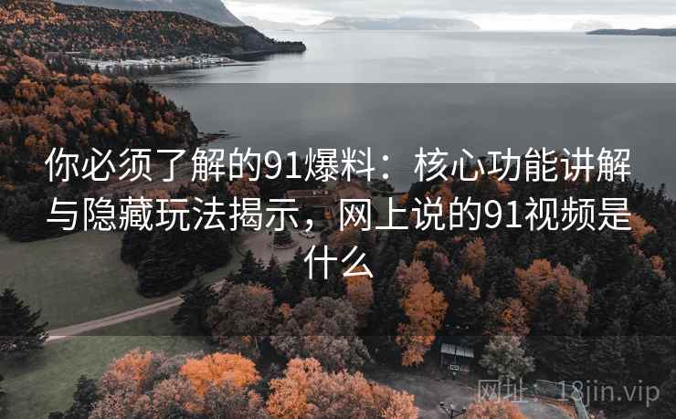 你必须了解的91爆料：核心功能讲解与隐藏玩法揭示，网上说的91视频是什么