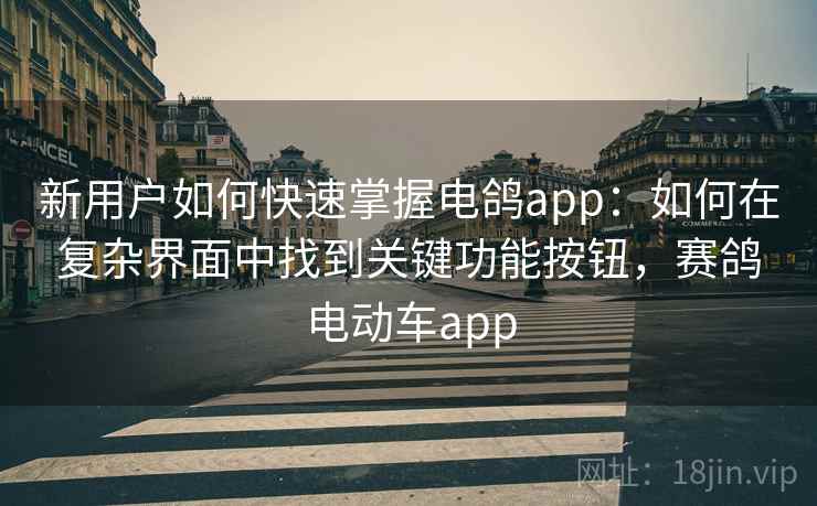 新用户如何快速掌握电鸽app：如何在复杂界面中找到关键功能按钮，赛鸽电动车app