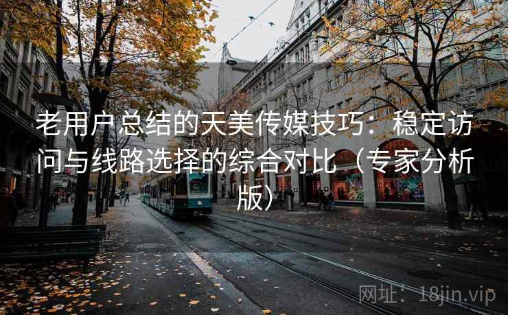 老用户总结的天美传媒技巧:稳定访问与线路选择的综合对比(专家分析版) 老用户总结的天美传媒技巧:稳定访问与线路选择的综合对比(专家分析版)