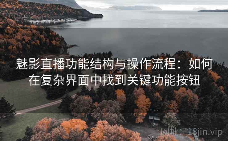 魅影直播功能结构与操作流程：如何在复杂界面中找到关键功能按钮