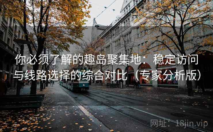 你必须了解的趣岛聚集地：稳定访问与线路选择的综合对比（专家分析版）