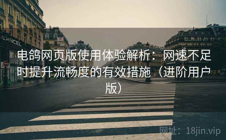 电鸽网页版使用体验解析：网速不足时提升流畅度的有效措施（进阶用户版）