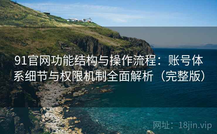 91官网功能结构与操作流程：账号体系细节与权限机制全面解析（完整版）