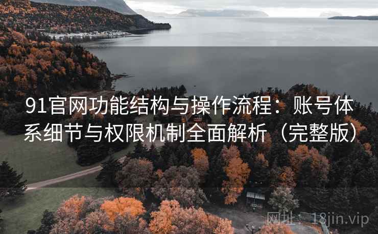 91官网功能结构与操作流程：账号体系细节与权限机制全面解析（完整版）