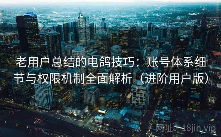 老用户总结的电鸽技巧：账号体系细节与权限机制全面解析（进阶用户版）