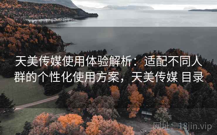 天美传媒使用体验解析：适配不同人群的个性化使用方案，天美传媒 目录