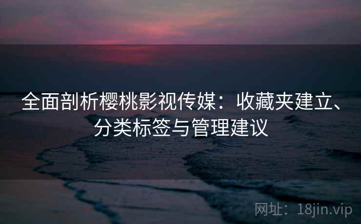 全面剖析樱桃影视传媒：收藏夹建立、分类标签与管理建议