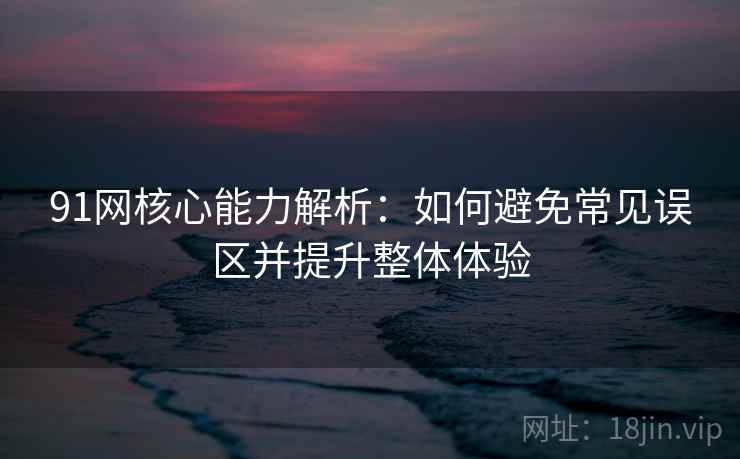 91网核心能力解析：如何避免常见误区并提升整体体验