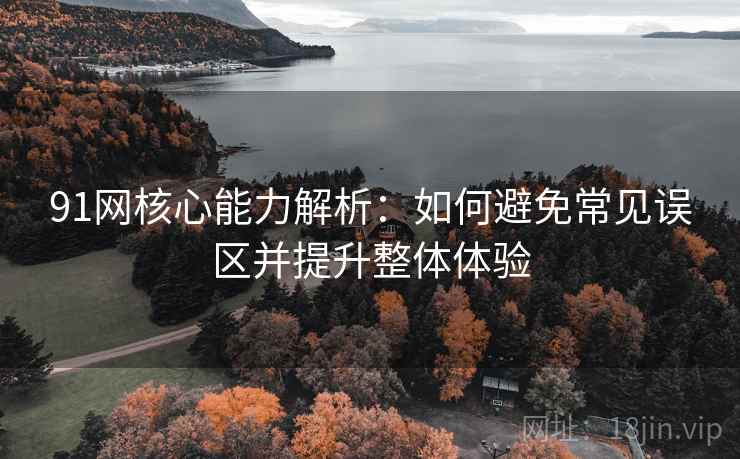 91网核心能力解析:如何避免常见误区并提升整体体验 91网核心能力解析:如何避免常见误区并提升整体体验