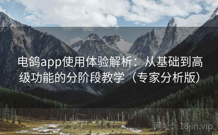 电鸽app使用体验解析：从基础到高级功能的分阶段教学（专家分析版）