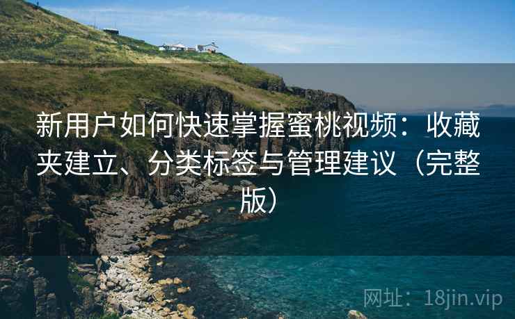 新用户如何快速掌握蜜桃视频：收藏夹建立、分类标签与管理建议（完整版）
