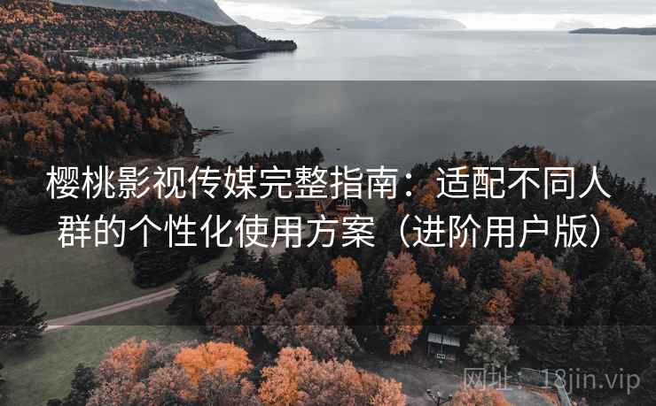 樱桃影视传媒完整指南：适配不同人群的个性化使用方案（进阶用户版）