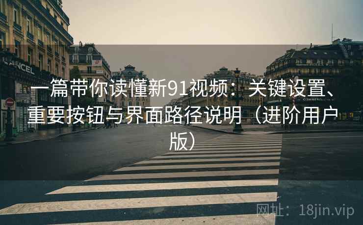 一篇带你读懂新91视频：关键设置、重要按钮与界面路径说明（进阶用户版）