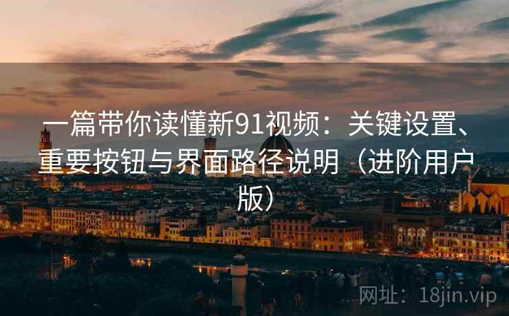 一篇带你读懂新91视频:关键设置、重要按钮与界面路径说明(进阶用户版) 一篇带你读懂新91视频:关键设置、重要按钮与界面路径说明(进阶用户版)