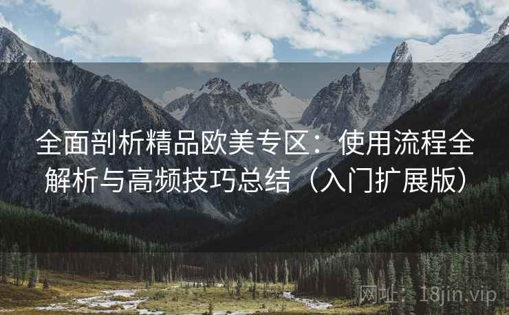 全面剖析精品欧美专区：使用流程全解析与高频技巧总结（入门扩展版）