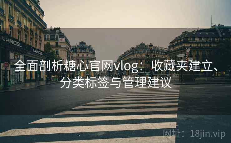 全面剖析糖心官网vlog：收藏夹建立、分类标签与管理建议