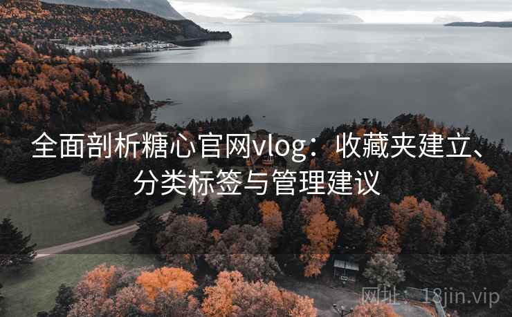 全面剖析糖心官网vlog:收藏夹建立、分类标签与管理建议 全面剖析糖心官网vlog:收藏夹建立、分类标签与管理建议