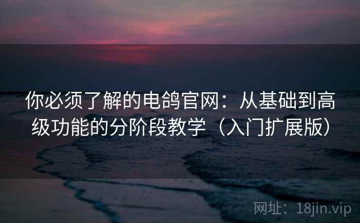 你必须了解的电鸽官网：从基础到高级功能的分阶段教学（入门扩展版）